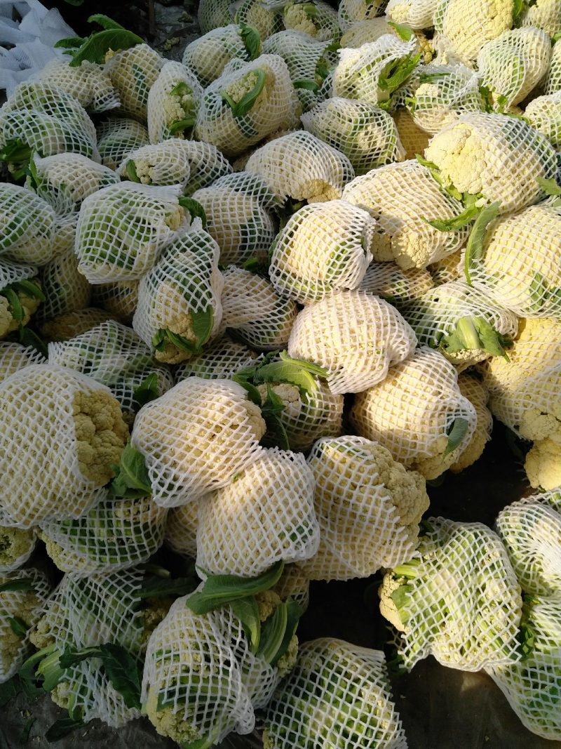 精品有机菜花一手货源量大从优