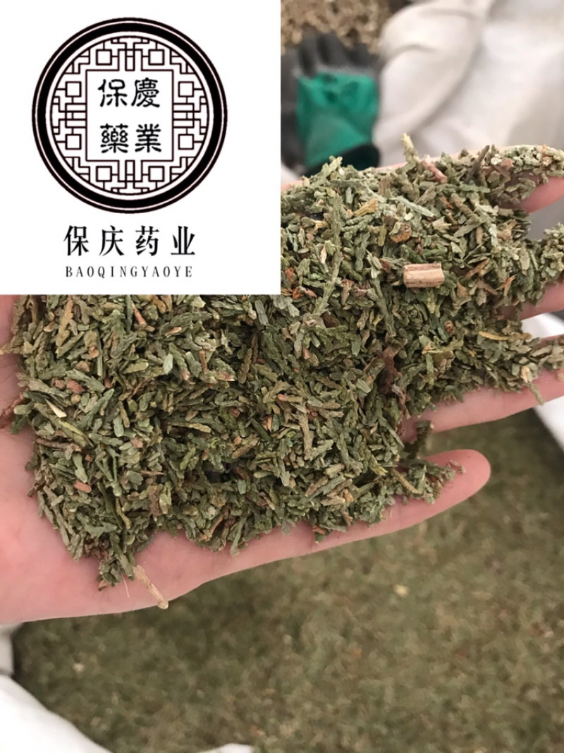 侧柏叶颜色青无杂质过筛货保庆药业发货如图