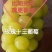 阳光十三葡萄嫁接苗是2021年推出的葡萄新品种