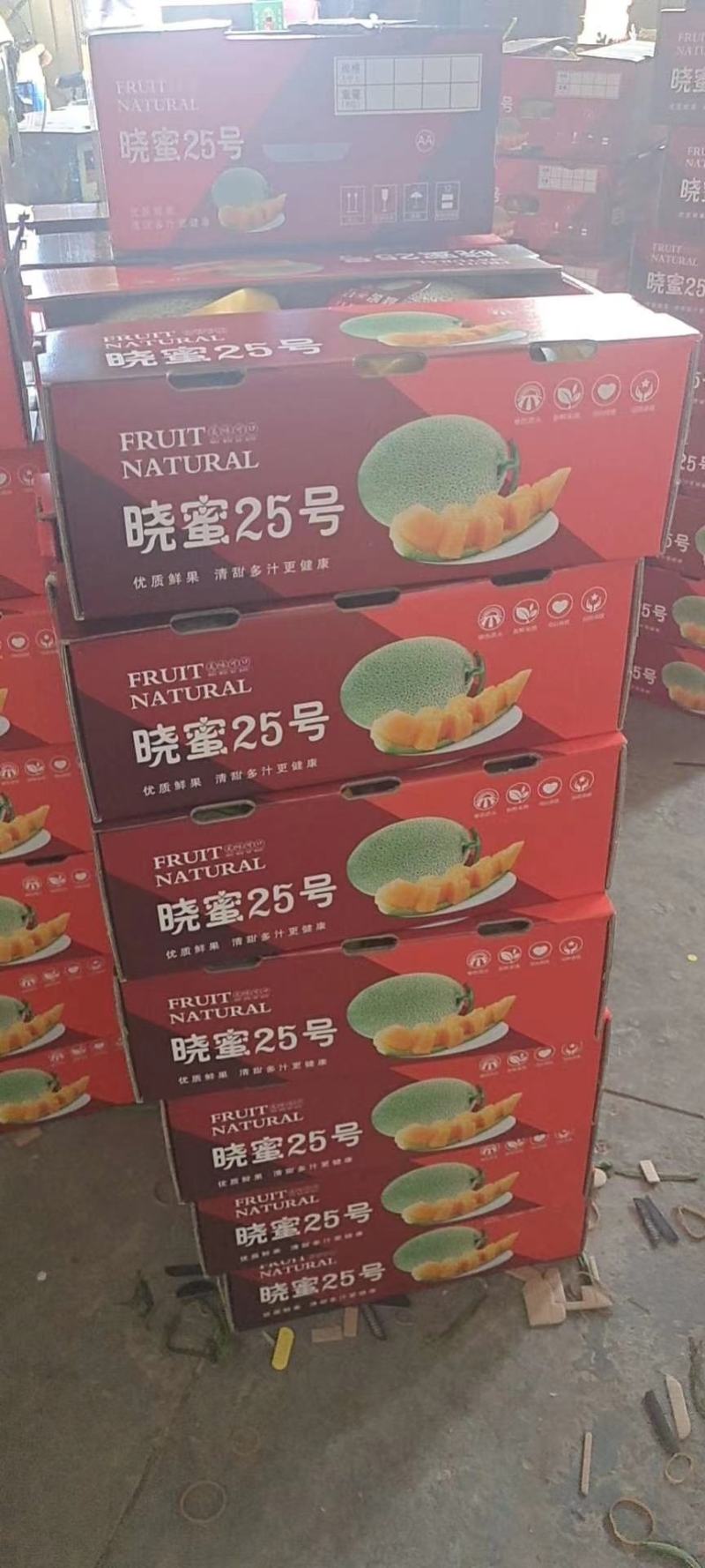 山东西州蜜25哈密瓜大量供应中产地一手货源无中间差价