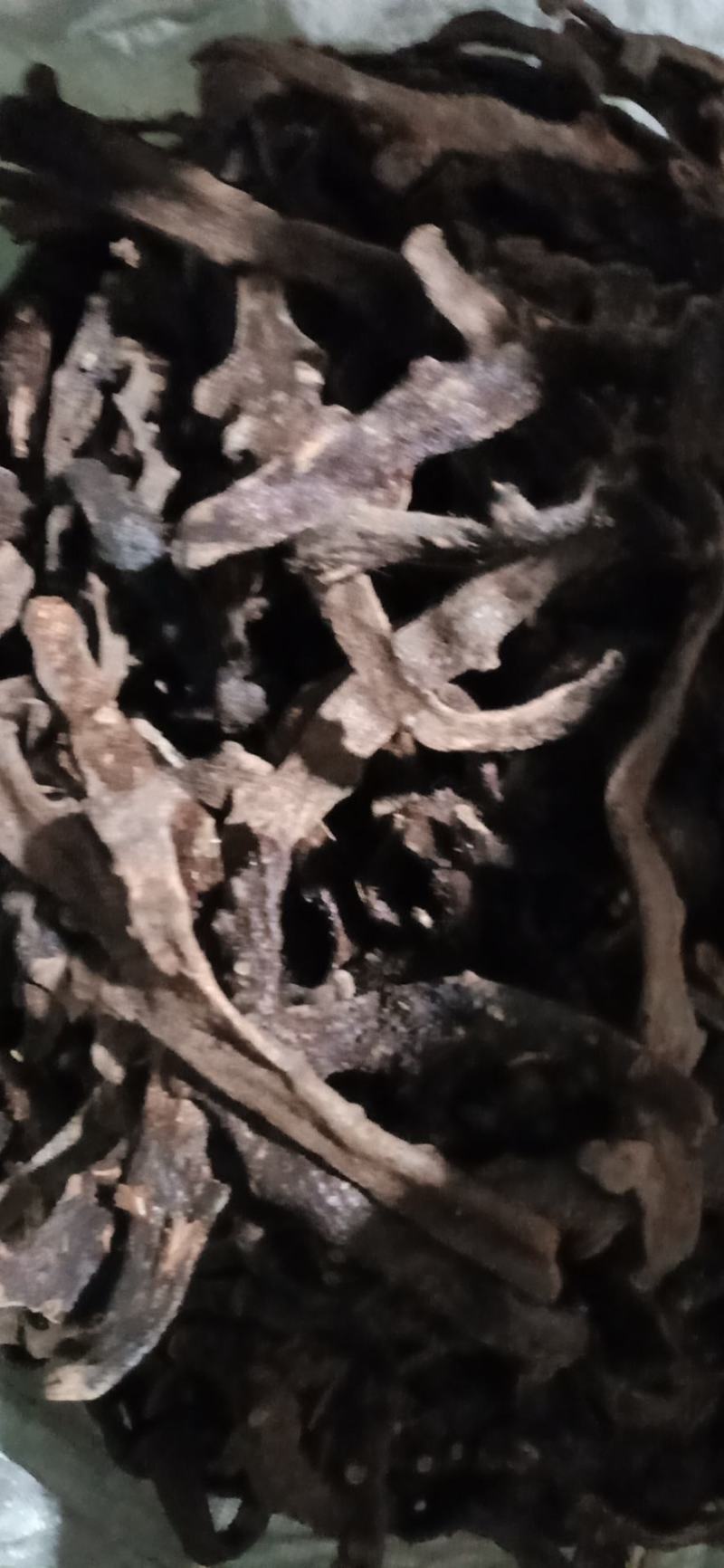 骨碎补毛姜爬岩姜石岩姜去毛干货野生高干度含量