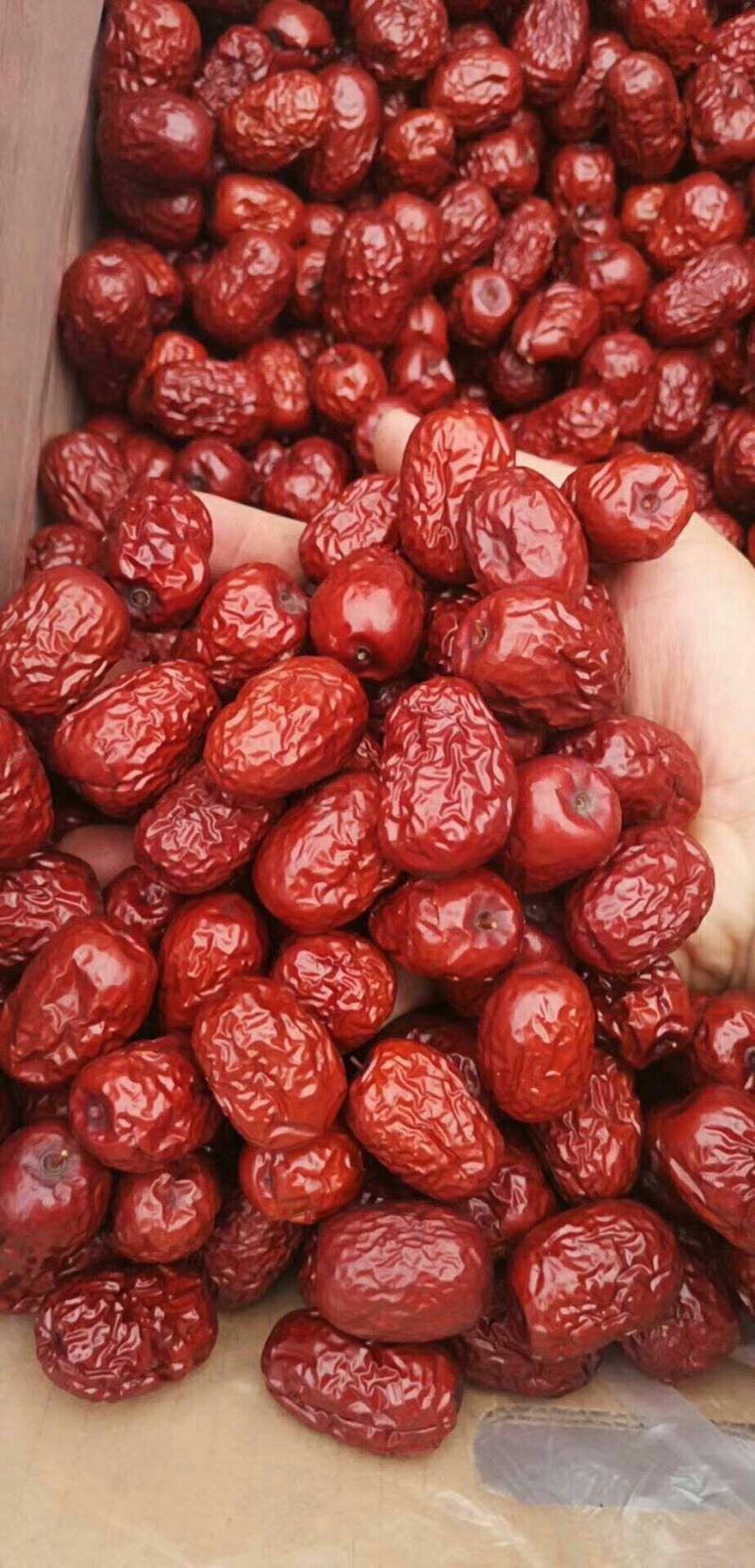 【一级优质红枣】红枣一级二级优质果粒头大肉饱满批发