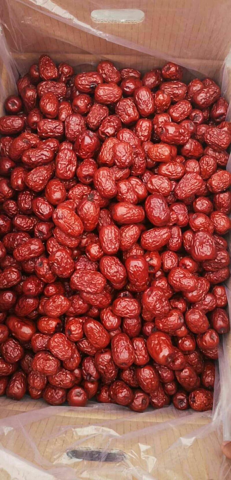 【一级优质红枣】红枣一级二级优质果粒头大肉饱满批发