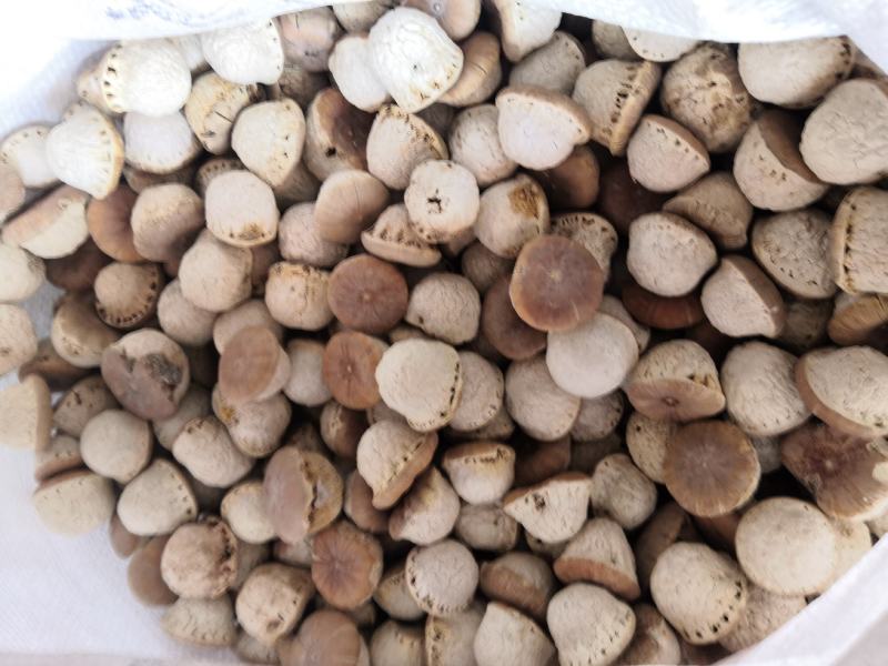 壮阳果新货风流果量大从优大货批发