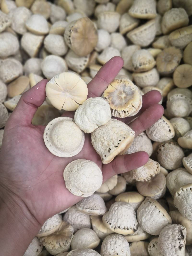 壮阳果新货风流果量大从优大货批发