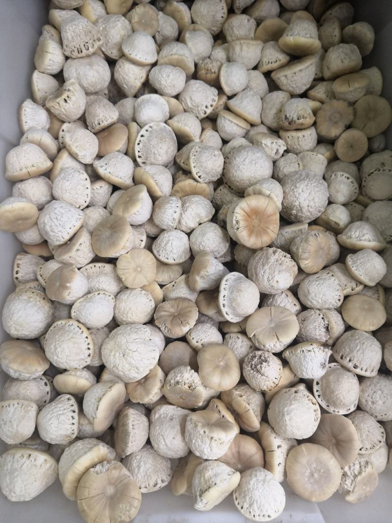 壮阳果新货风流果量大从优大货批发
