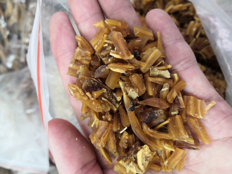 无硫天冬湖南天门冬批发各种中药材