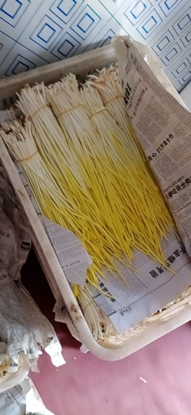 法姆沃克小把蒜黄，励志天天有货！质量有保证！！！！