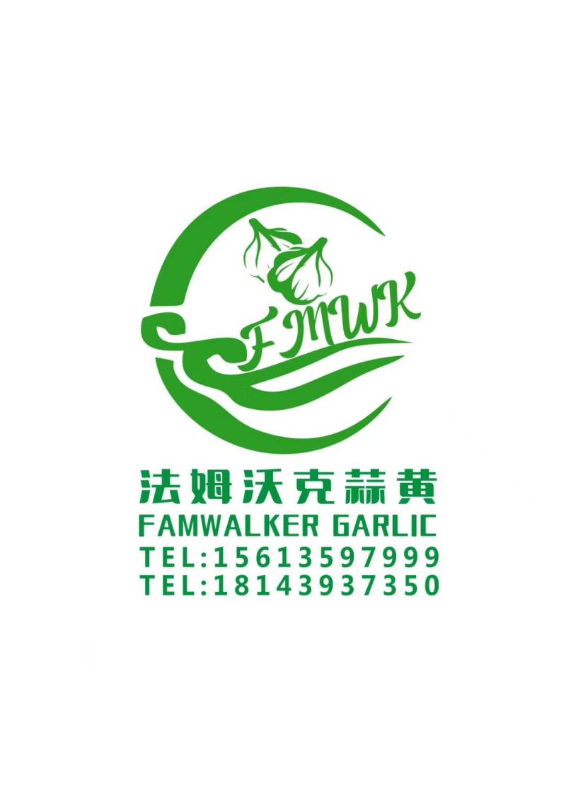 法姆沃克小把蒜黄，励志天天有货！质量有保证！！！！