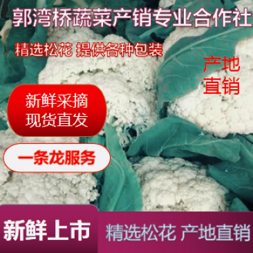 精品散花菜，实花菜，基地供货，提供各种包装，专业诚信代办