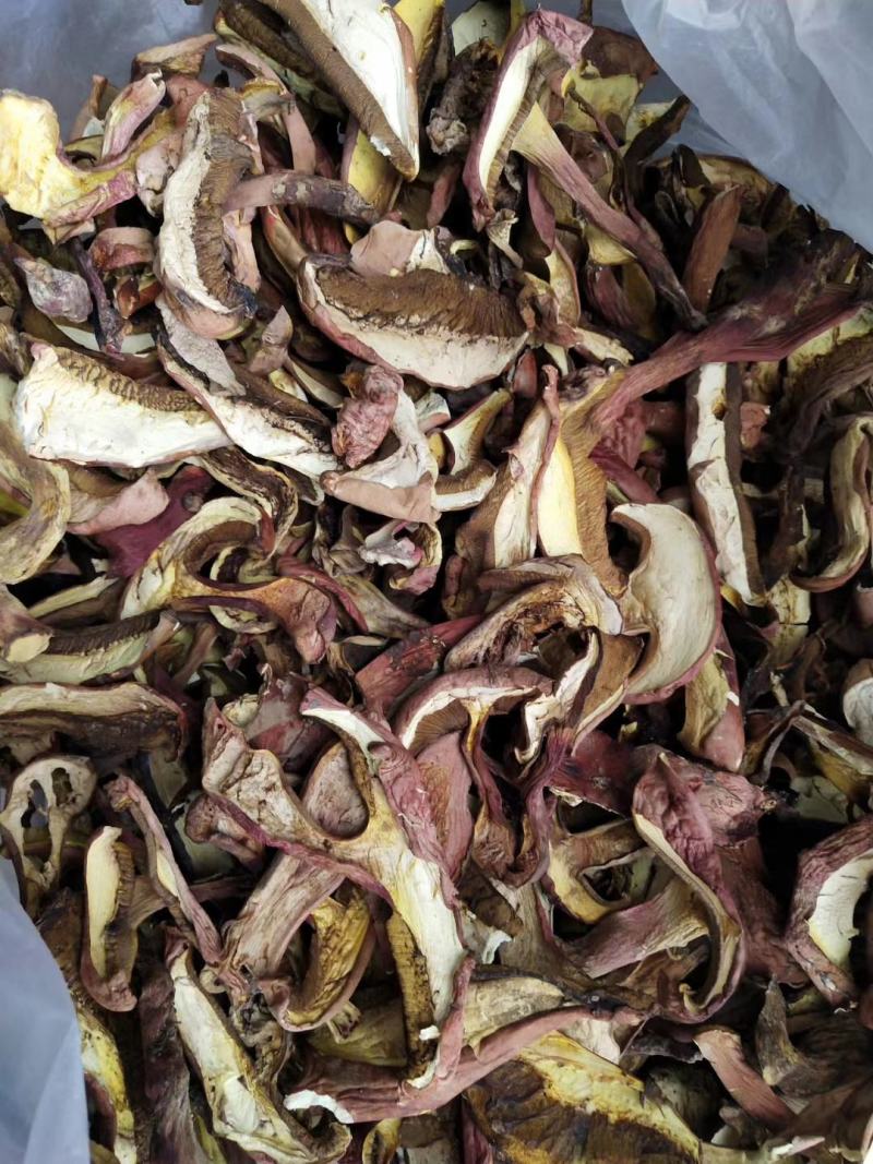 2020野生牛肝菌，红葱牛肝菌片，白葱牛肝菌片，无虫眼