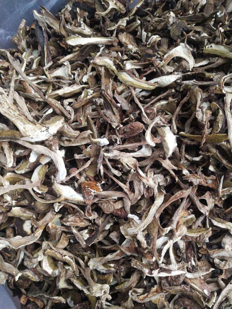 2020野生牛肝菌，红葱牛肝菌片，白葱牛肝菌片，无虫眼
