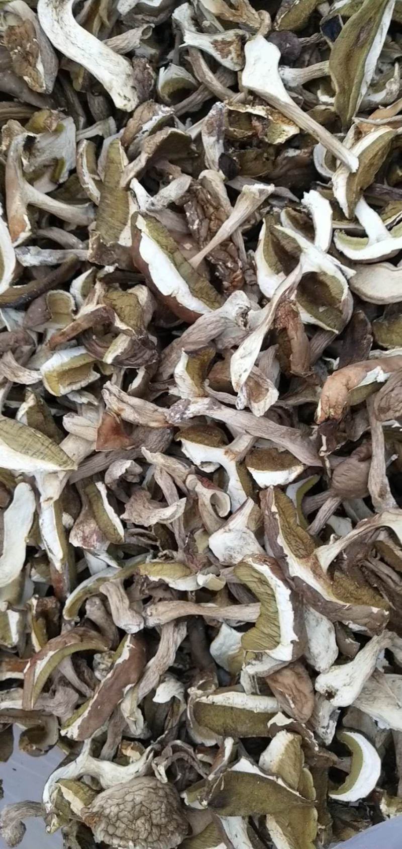 2020野生牛肝菌，红葱牛肝菌片，白葱牛肝菌片，无虫眼