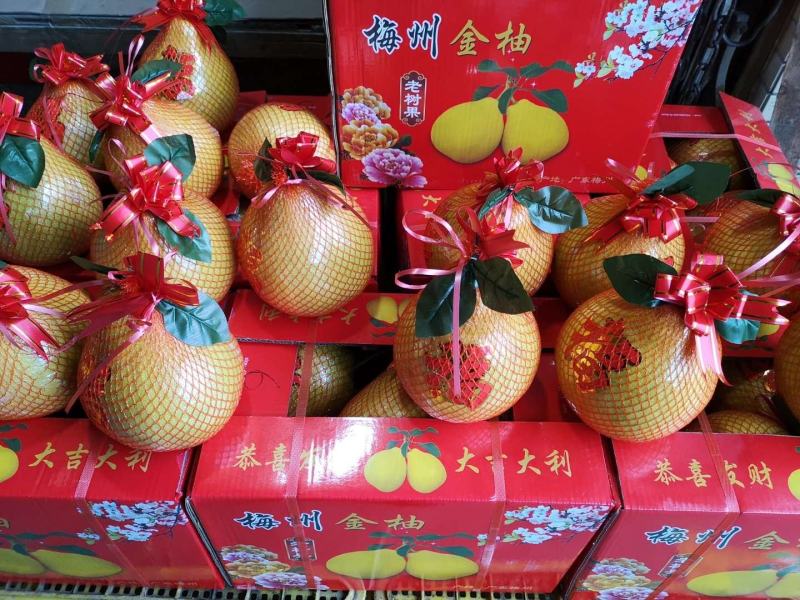 广东梅县沙田柚子梅州金柚现采基地直发实力供应量大从优