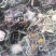 5斤可以下单蒲公英纯野生干品，婆婆丁，新货上市