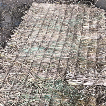 草帘，各种不同规格，草帘