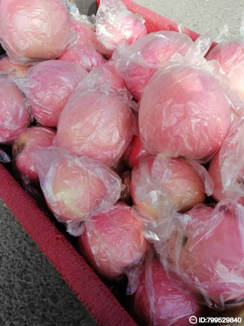 苹果纸加膜，纸袋红富士苹果！