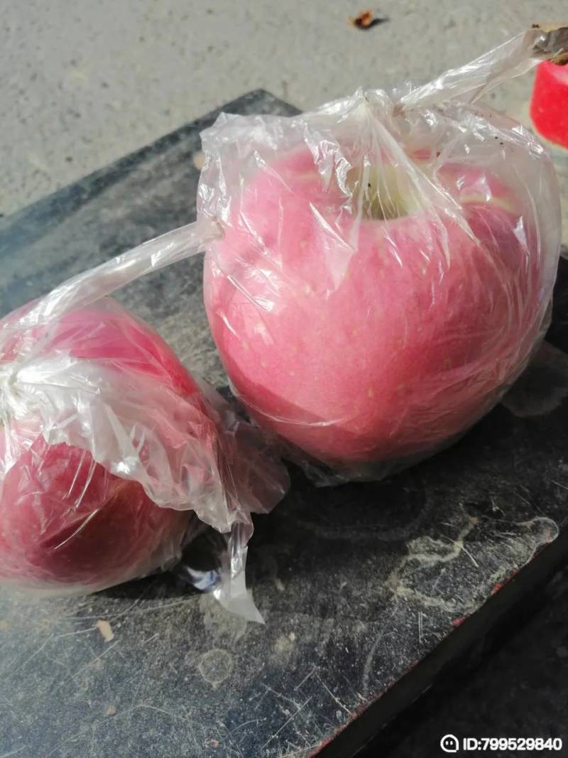 苹果纸加膜，纸袋红富士苹果！
