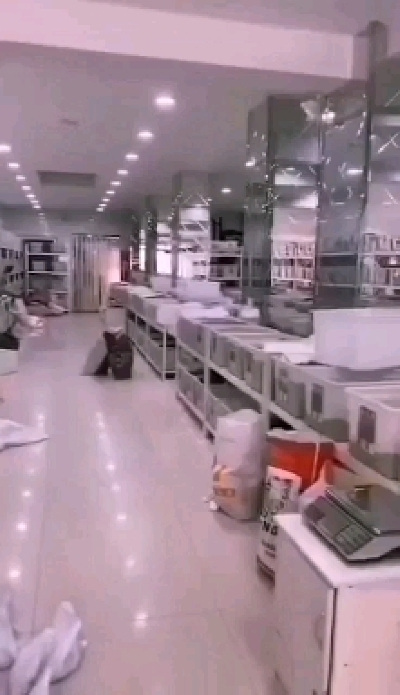多年生鲁冰花种籽宿根羽扇豆种子四季易种耐寒景观庭院阳台盆