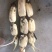 精品大白35，货源充足，欢迎长期合作商