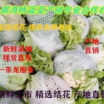 精品实花菜，散花菜，基地直供，提供各种包装，诚信代办！