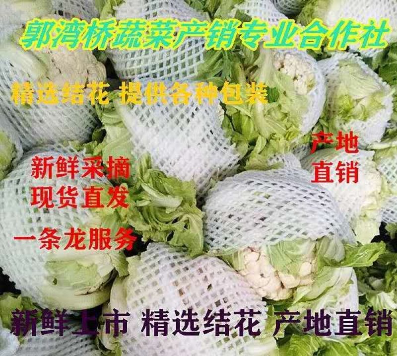 精品实花菜，散花菜，基地直供，提供各种包装，诚信代办！