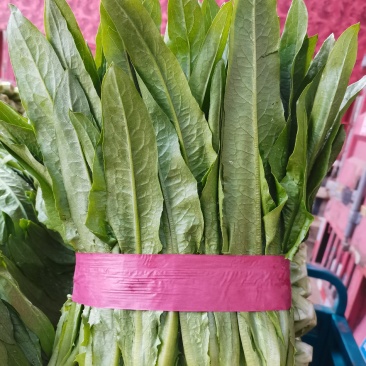 精品。油麦。客户们，有需要的下单
