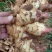 鲜姜，果实饱满，货源充足