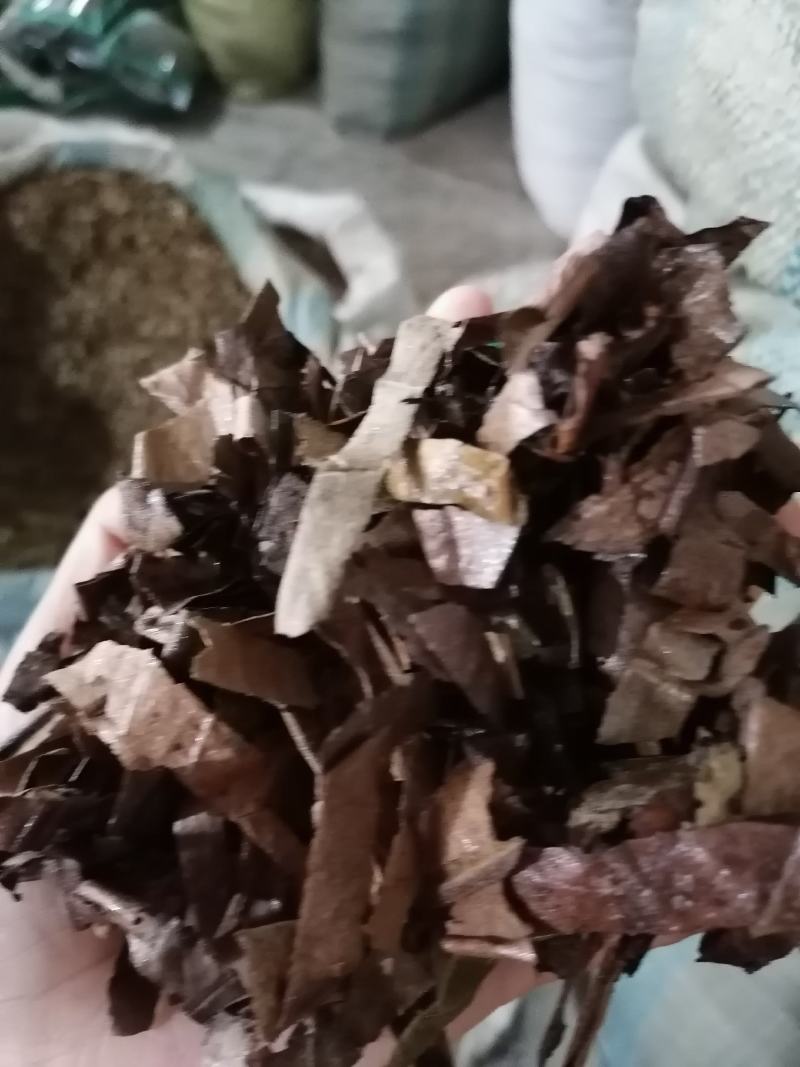枇杷叶各种中药材批发质量保证产地直销