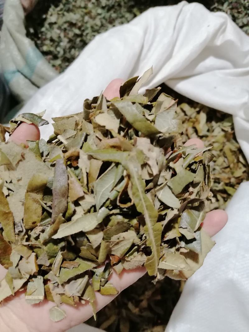 枇杷叶各种中药材批发质量保证产地直销