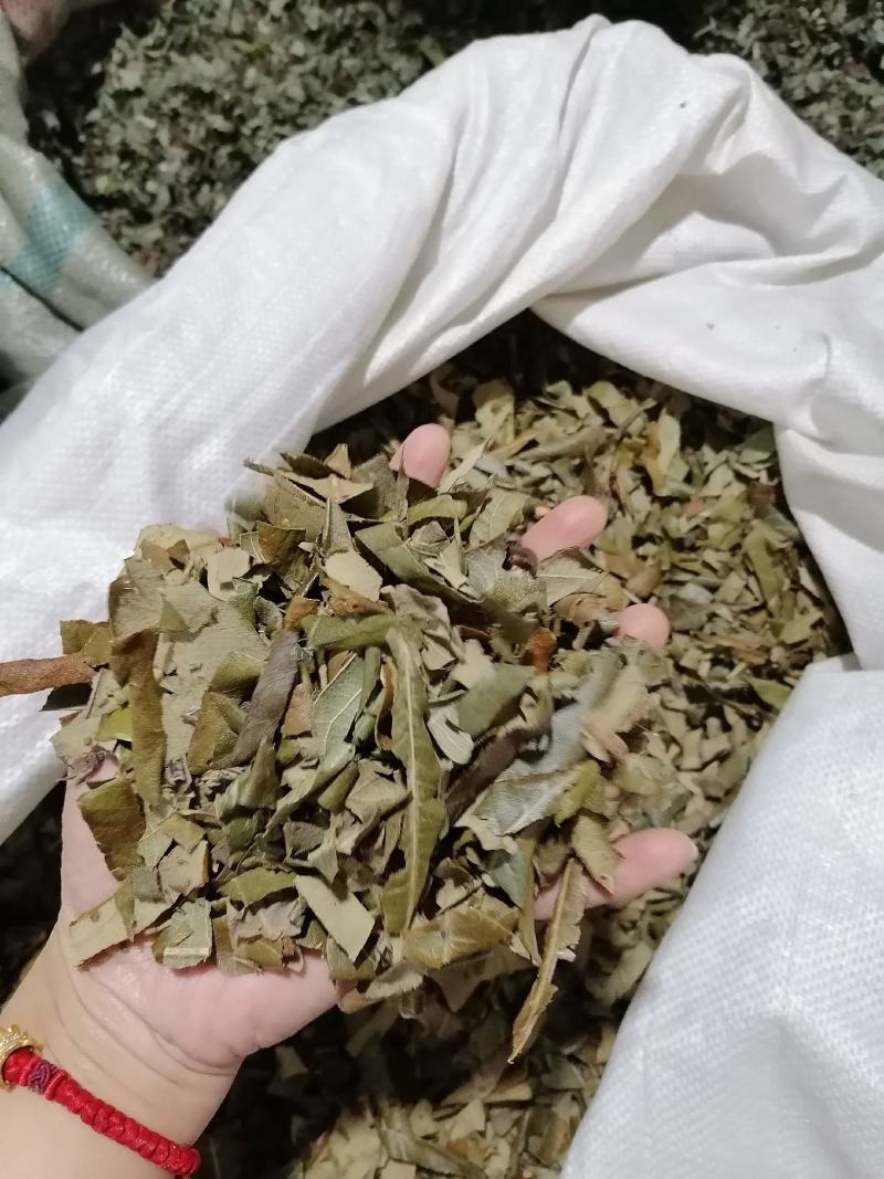 枇杷叶各种中药材批发质量保证产地直销