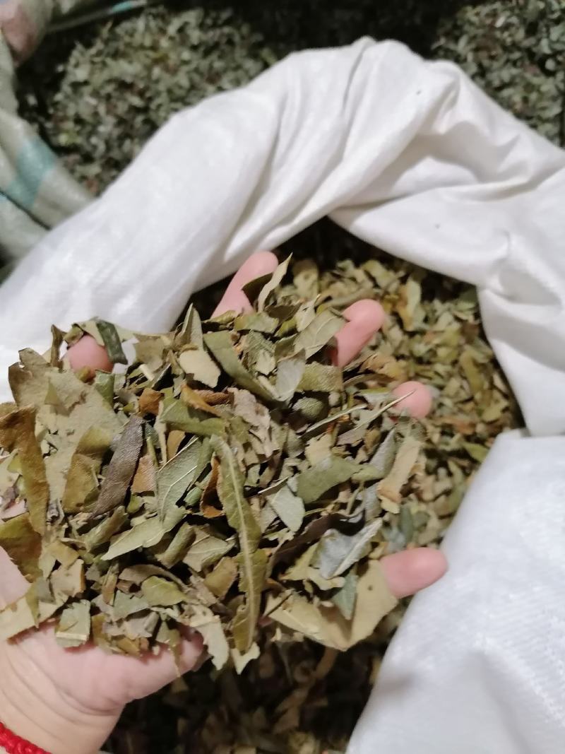 枇杷叶各种中药材批发质量保证产地直销