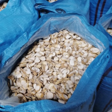 贝母片子鄂贝母，产新卾贝母药房专用