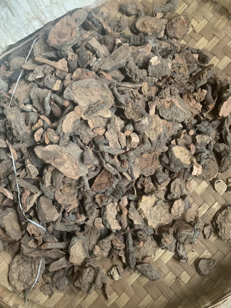 云南野生何首乌产地一手货源欢迎选购