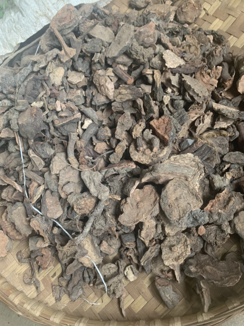 云南野生何首乌产地一手货源欢迎选购