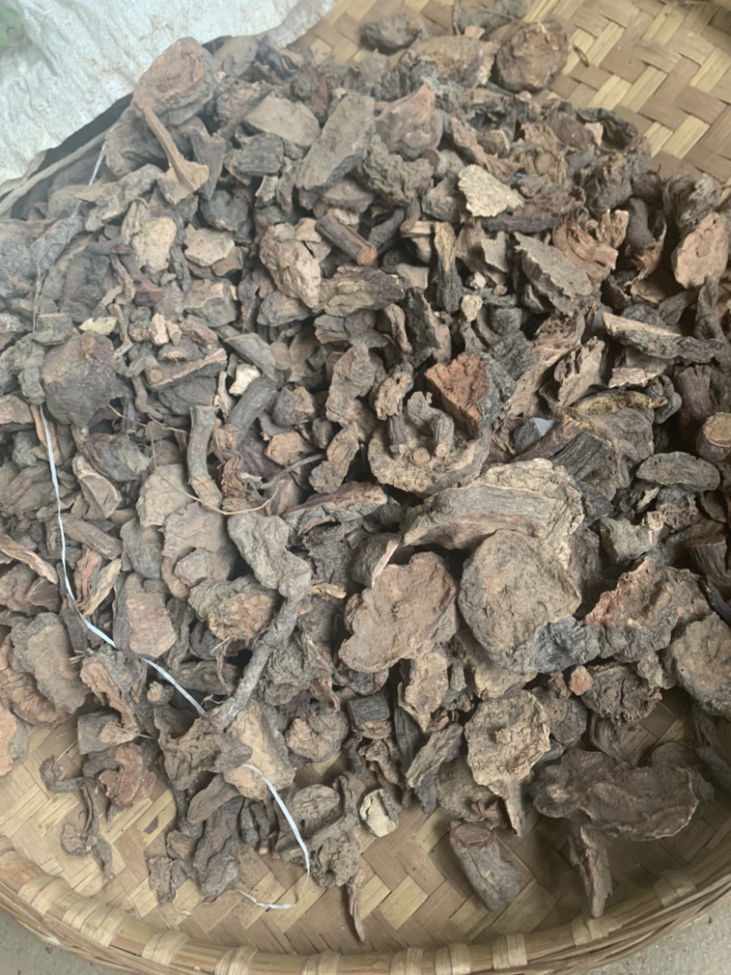云南野生何首乌产地一手货源欢迎选购