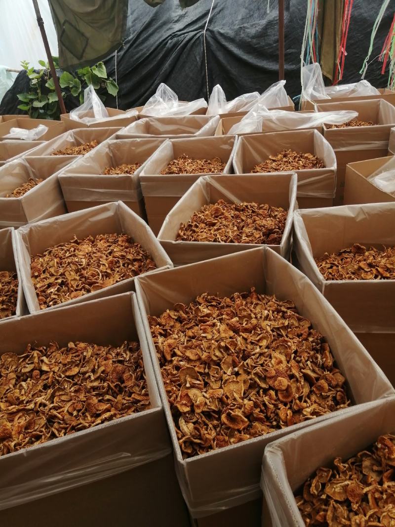 滑子菇批发零售，需要的下单吧