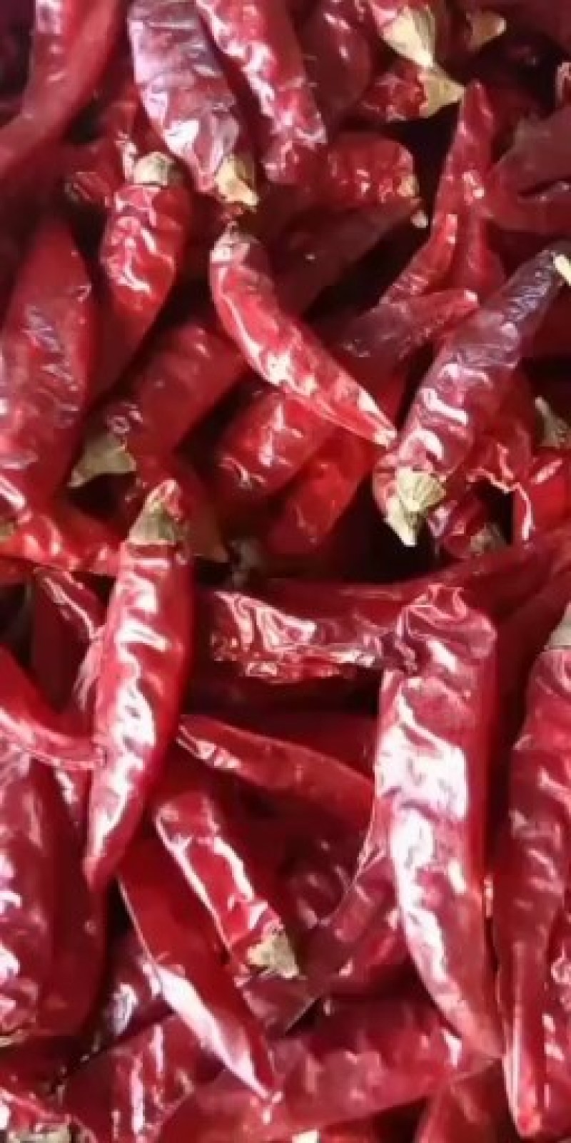 朝天椒高辣系列艳椒干辣椒