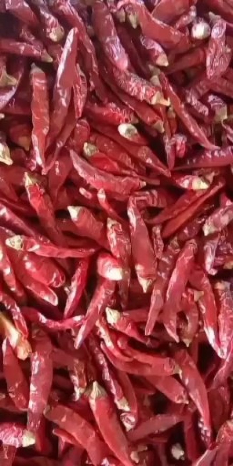 朝天椒高辣系列艳椒干辣椒