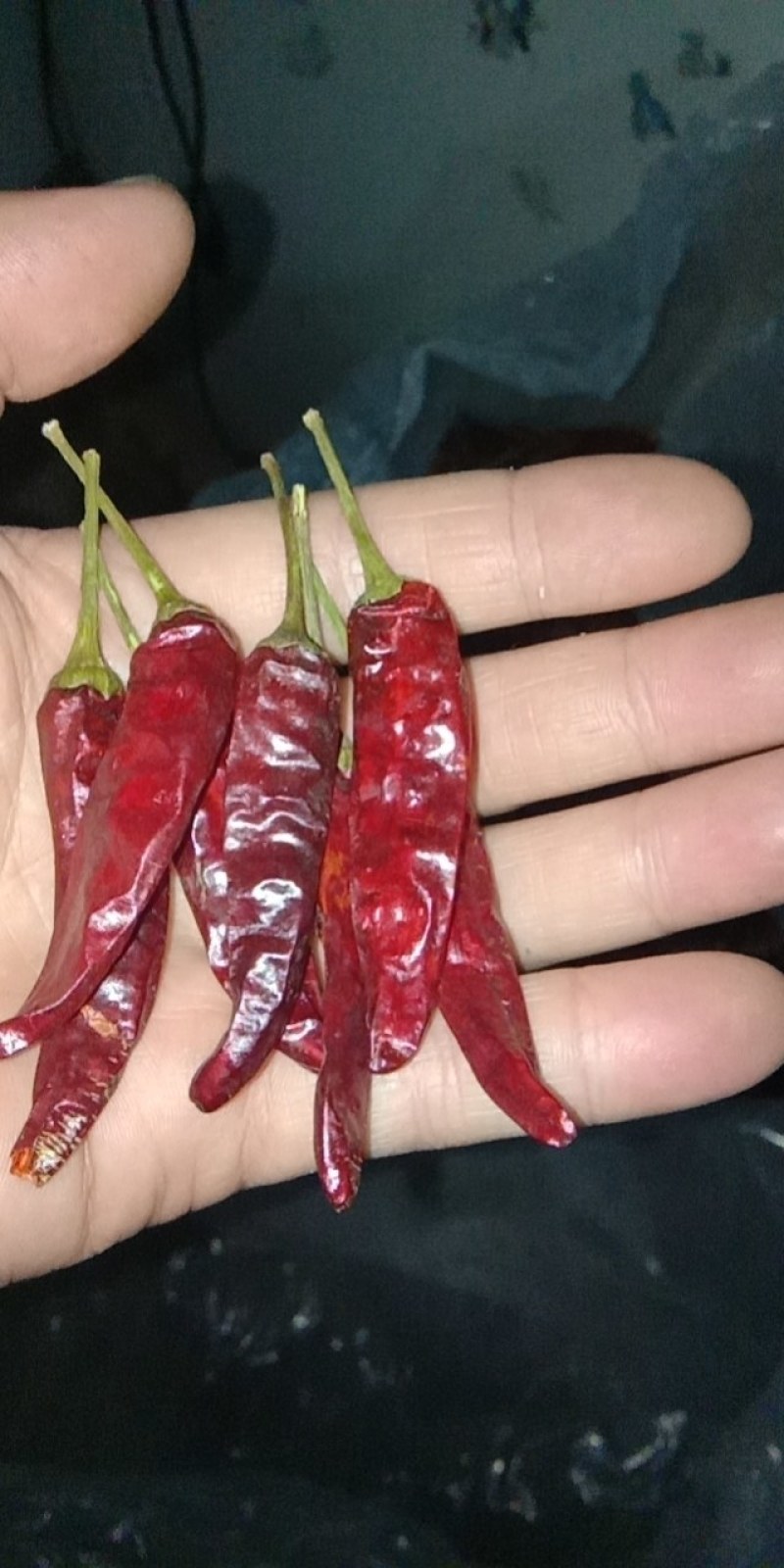 朝天椒高辣系列艳椒干辣椒