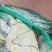 精品大闸蟹，自家农场养殖现取现卖，品质有保障，产地直发