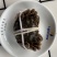 宜宾大量大闸蟹现货销售