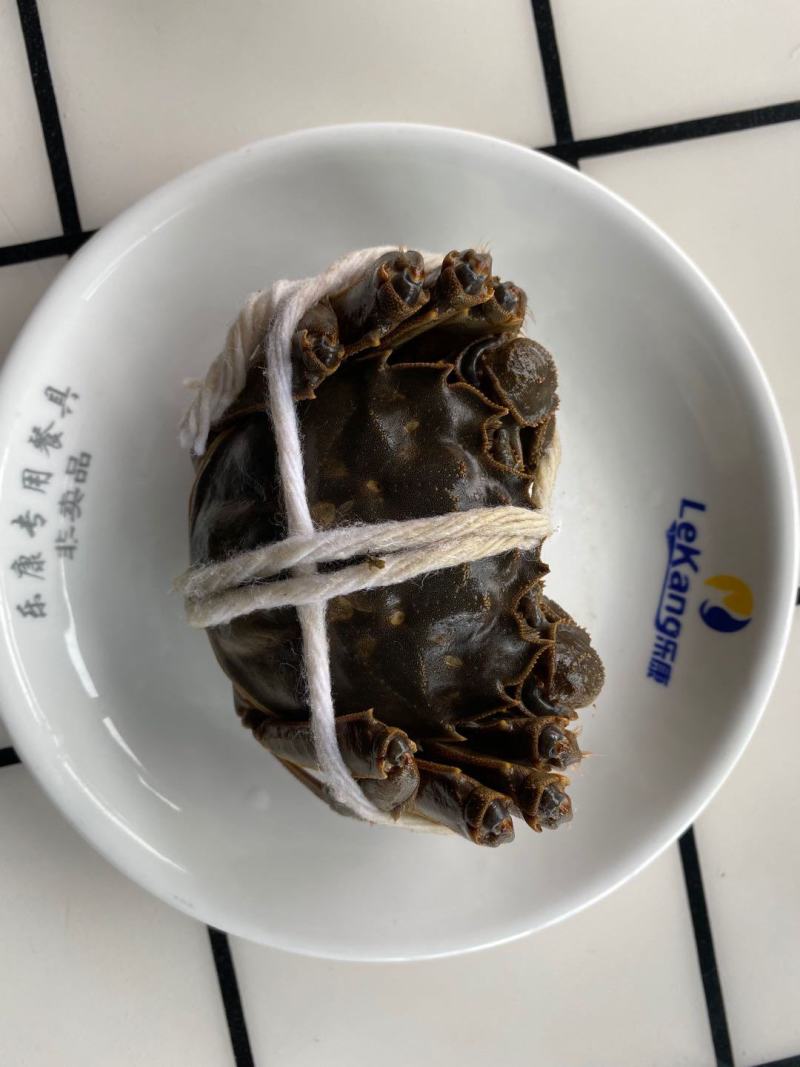 宜宾大量大闸蟹现货销售