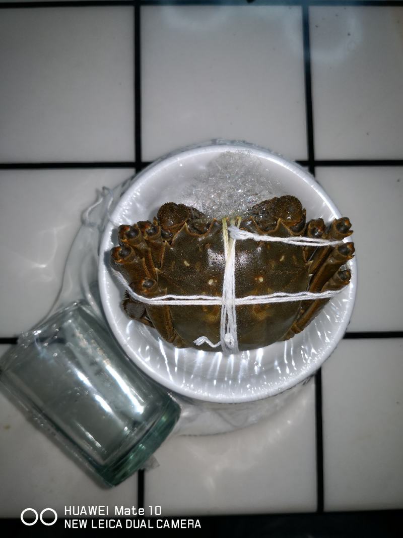 宜宾大量大闸蟹现货销售
