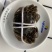 宜宾大量大闸蟹现货销售