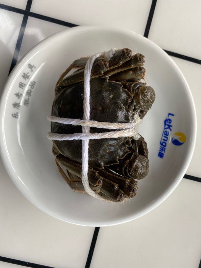宜宾大量大闸蟹现货销售