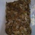 宜宾大量大闸蟹现货销售