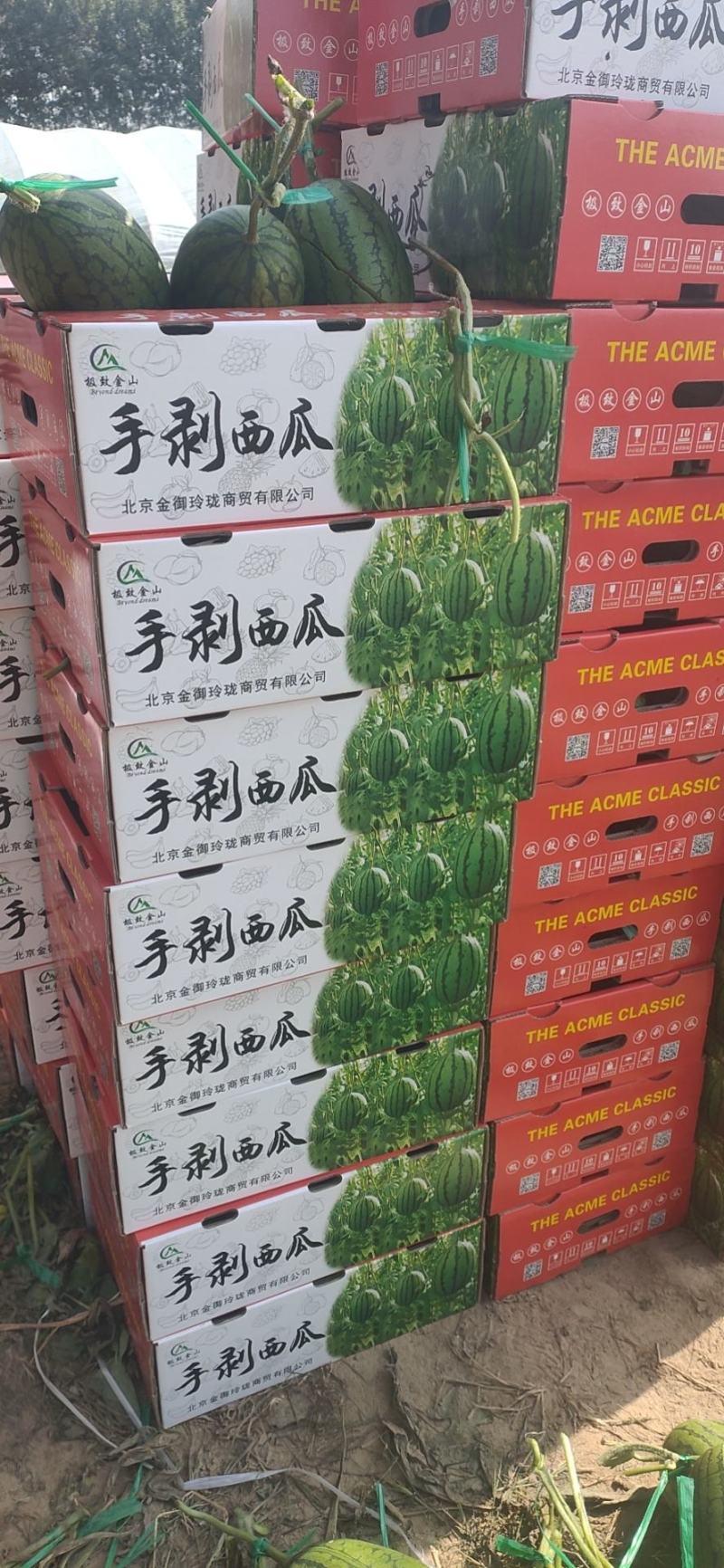 牛奶爆瓜！头茬上市了！！！！！