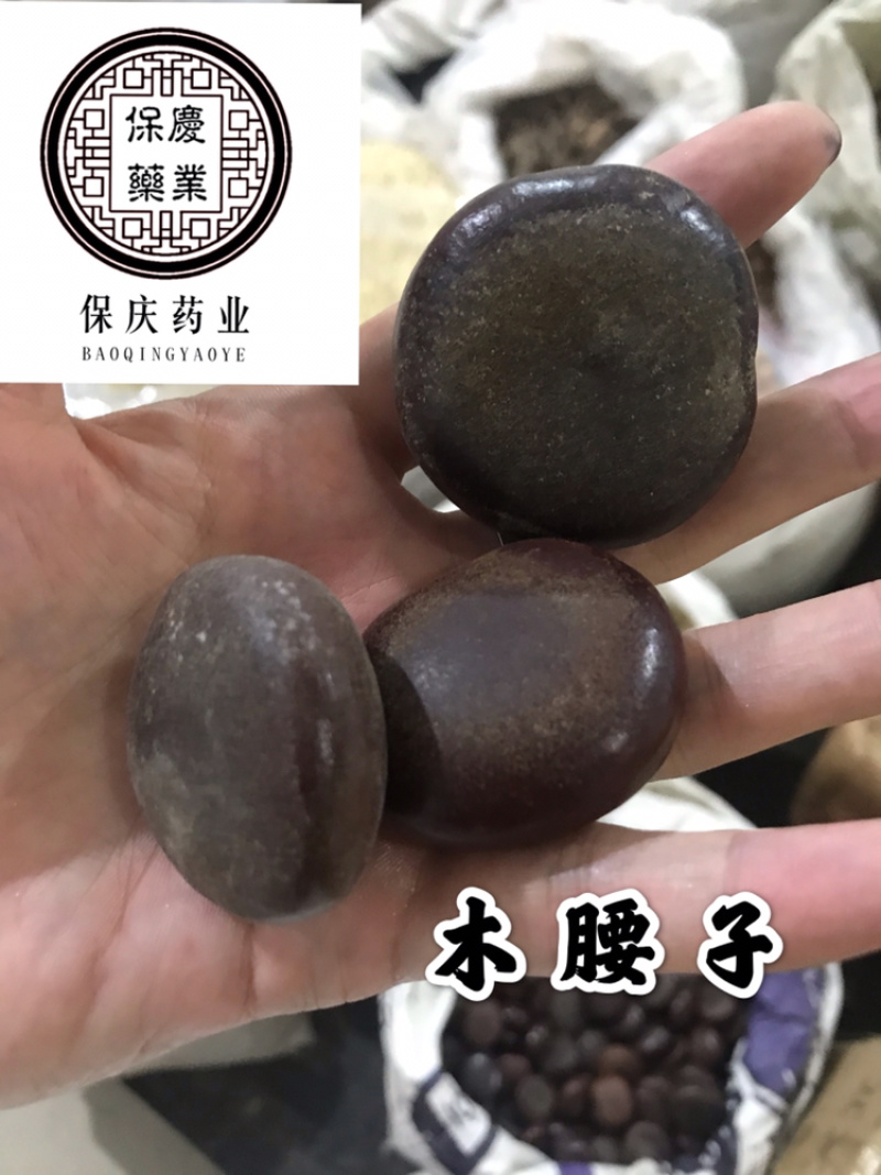 木腰子保庆药业批发阴阳子过江龙子木腰子