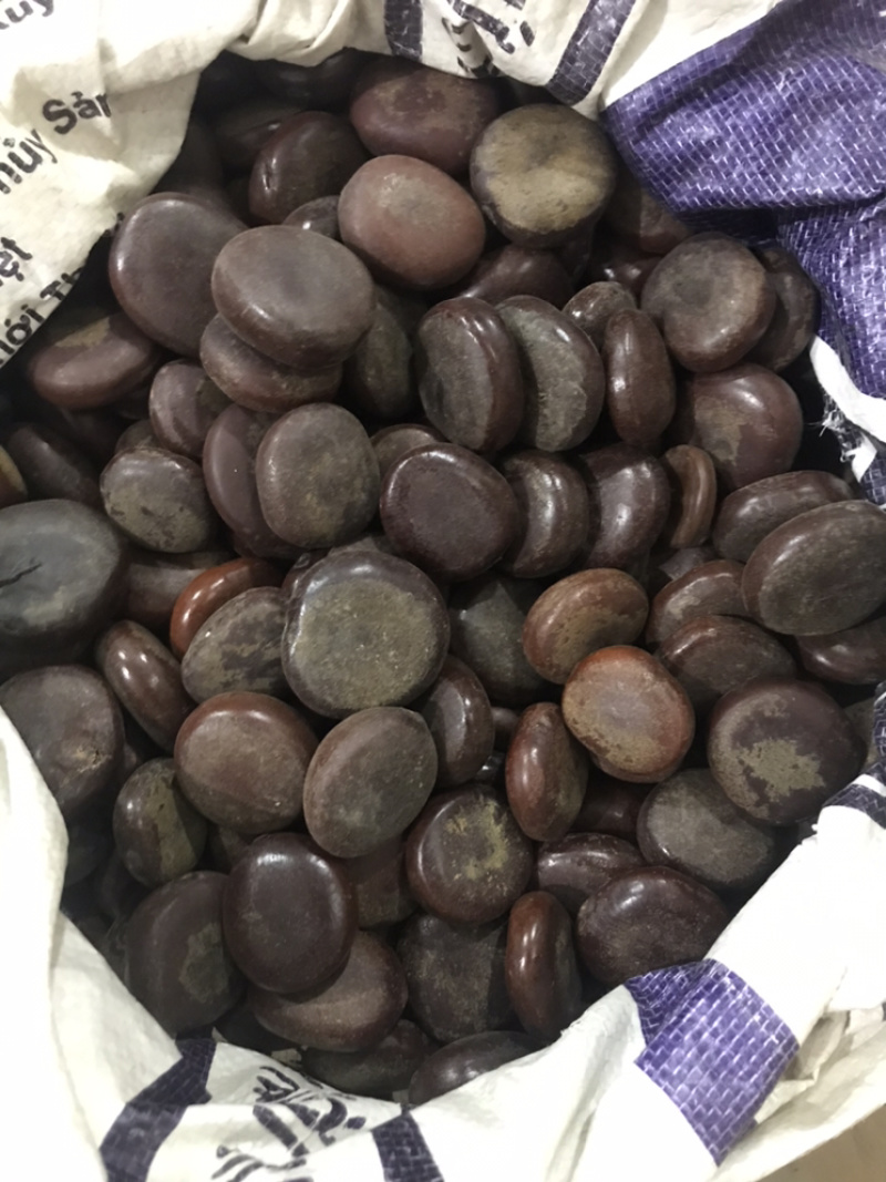 木腰子保庆药业批发阴阳子过江龙子木腰子